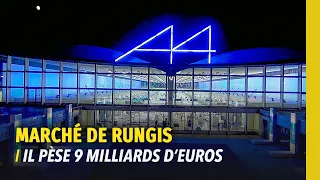 Rungis : les secrets d'une réussite mondiale