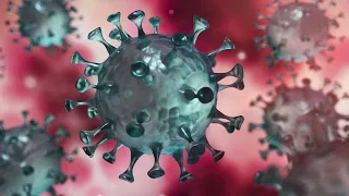 Videografik: So verbreitet sich das Coronavirus auf Oberflächen