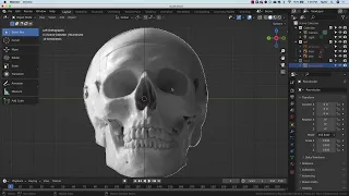 Modeling a human skull in Blender 3