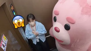 Crazy Korean Prank that no one will Forget : Elevator Prank with Giant pink bear