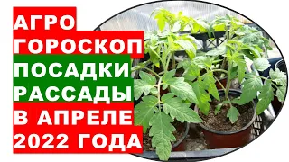 Агрогороскоп посадки рассады в теплицы и в открытом грунте в апреле 2022 года