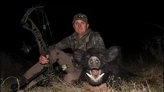 Quick afternoon hunt. Bowhunting Australia