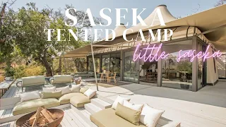 ULTRA LUXURIOUS Tented Camp in Kruger National Park -  FULL TOUR