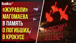 На здании Крокус Сити Холла высветилась проекция журавлей