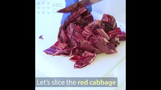 🔬 How To Make Red Cabbage Indicator With Kids At Home