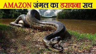 अमेज़न जंगल का ये  राज कोई नही जानता | Unsolved mysteries of amazon forest Secrets of amazon jungle