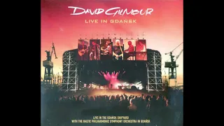 David Gilmour Echoes, Live at Gdansk, SHORT VERSION