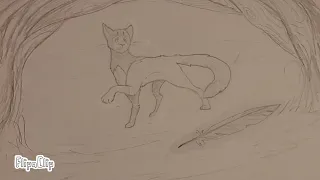 Paper and pencil - Warrior cats MAP part