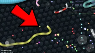 I'm The Fastest Snake - SLİTHER.İO