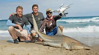 Drone Fishing for Sharks