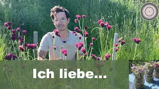 Wichtige heimische Pflanzen für den Naturgarten, Sommertischdekoration, Hochzeitstischideen