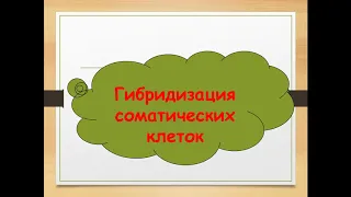 Клеточная инженерия 2