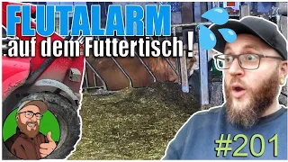 FarmVlog 201: Randale mit dem Teleskoplader | Fassadenabriss am neuen Hof