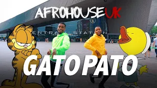 Milo & Fabio - GATO PATO  (Official Video) #GatoPatoChallenge