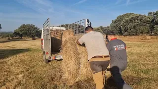 Hoy recogemos bolas a mano, como empuja el relevo generacional💪😉