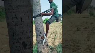 Creative tree climbing technique #shorts