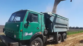 Убираем полёгший  хлеб. Запорожская область .Бердянский  район.