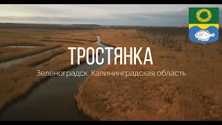 4K. Река Тростянка (Исток). Зеленоградск. Калининградская область.