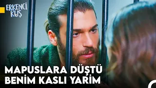 Sanem'in Aşkı Bulma Yolculuğu #89 - Erkenci Kuş