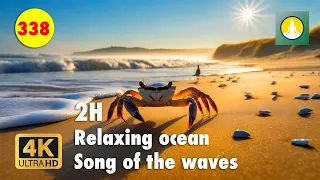 Beach and Ocean Sounds in ASMR: Ideal for Sleep, Reiki and Meditation - Meditation 338