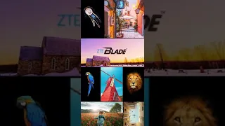 ZTE Blade V9 Vita - On (with Animation)
