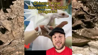 Chinese Scientists Create Dragon Clones! #fyp #nightgod #storytime #creepy #pasta #foryou