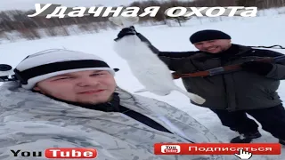 Быстрая охота на зайца, и тетерев с подхода