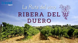 Ruta de vino Ribera del Duero: 10 básicos