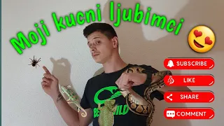 @BENIWILD egzoticne zivotinje