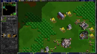 Warcraft 2 30.1.2023