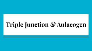 Triple Junction & Aulacogen (Question Included) | GeologyConcepts.com