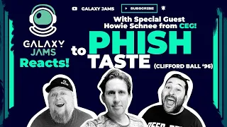 Phish - Taste Reaction Video live from Clifford Ball '96 | with Howie Schnee of CEG Presents