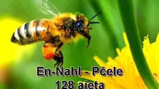 16. En-Nahl - Pčele (Kur'an na Arapski sa prijevodom značenja na Bosanski)