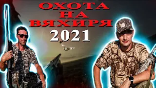 Охота на вяхиря в Новороссийске 2021