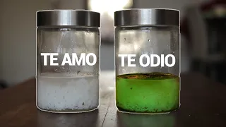 El Experimento Del Arroz / Existe La Energía?