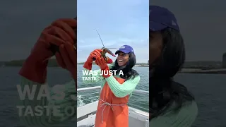 Lobster Fishing in Portland, Maine #lobster #fishing #nature #foodie