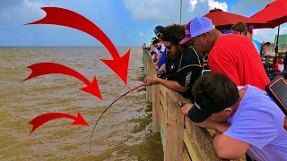 BIGGEST Fish I Ever Saw On A PIER !!!!! | Fishing Galveston Island Pier