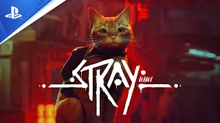 Stray - Trailer de lancement - 4K | PS4, PS5