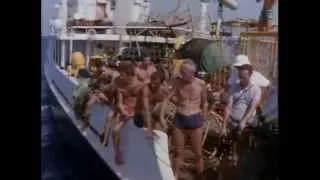 Подводная Одиссея Кусто - Акулы 1967