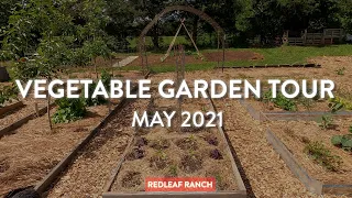 FULL Vegetable Garden Tour - May 2021
