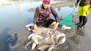 awalnya saya ragu² ternyata sarangnya ikan belanak..‼️menjala ikan di muara sangat memuaskan..😱