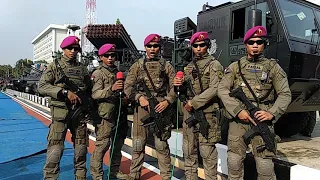 Batalyon Intai Amfibi Korps Marinir Sertijab 2018