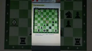 БЛИЦ КЛАССНАЯ ВИЛКА ШАХМАТЫ CHESS