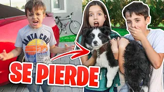 BROMA PESADA SE PIERDE SU PERRO *SE ENOJA Y LLORA*