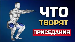 Вот Что Будет с Вашим Телом, Если Приседать Каждый День (это очень полезно)