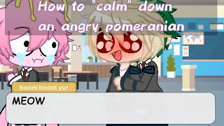 •How To Calm Down An Angry Pomeranian meme• ||mha/bhna|| {late meme}