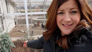 Trimming Butterfly Bushes & Roses + Transplanting Lavender! 💜✂️🌹 // Garden Answer