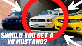 Should you get a V6 Mustang? | REVIEW 2007 V6 Mustang