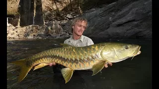 Fish Warrior - Catfish | Amazing Big Fish Species  / (Nat Geo)