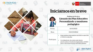 Asistencia técnica: Llenado del Plan Educativo Personalizado y monitoreo pedagógico